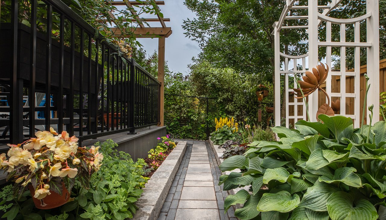 Backyard garden