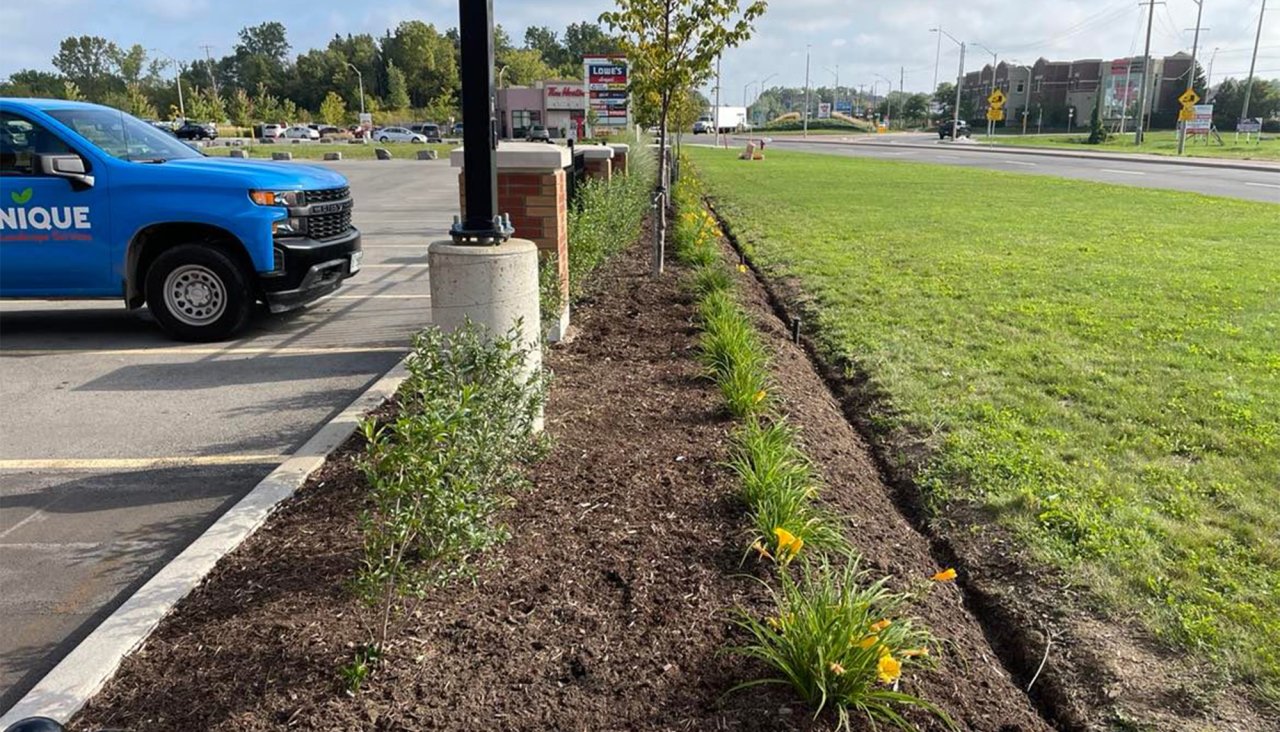 Commercial curb side landscape
